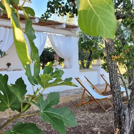 Pensjonat Masseria Ferarelli Trepizzi 4*