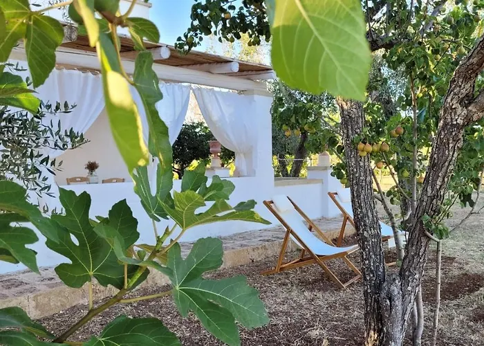 게스트하우스 Masseria Ferarelli Trepizzi 4*