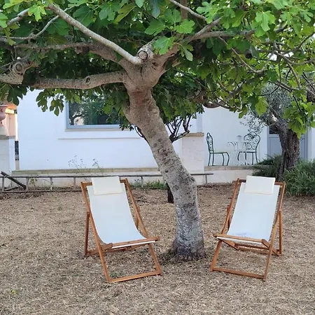 Masseria Ferarelli Trepizzi Guest house Diso