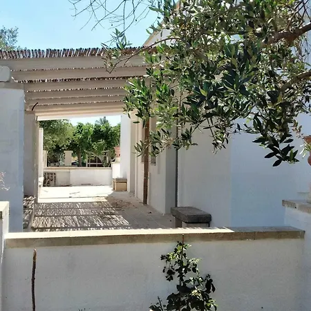 Masseria Ferarelli Trepizzi Maison d'hôtes